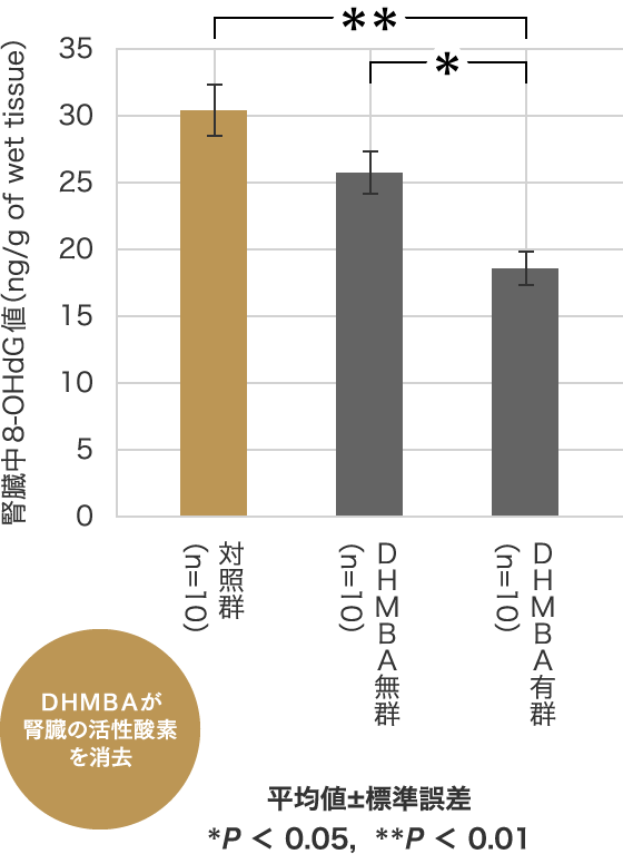 DHMBAとは｜ワタナベオイスターDHMBA（ディーバ）ゼリーS公式サイト